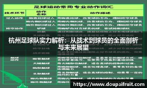 杭州足球队实力解析：从战术到球员的全面剖析与未来展望
