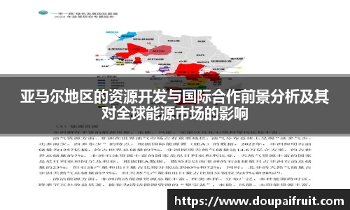 亚马尔地区的资源开发与国际合作前景分析及其对全球能源市场的影响